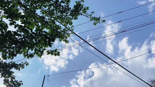 【自然】空と電線と木々と葉が映る風景 - Landscape with Sky, Power Lines, Trees and Leaves