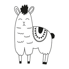 Fototapeta premium Cute alpaca animal doodle. Hand drawn funny alpaca relaxing and enjoying life in cartoon childish style