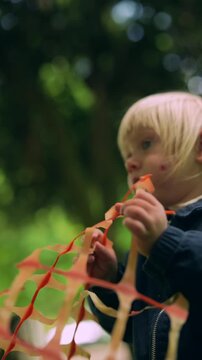 Young child engaged with nature and tactile exploration