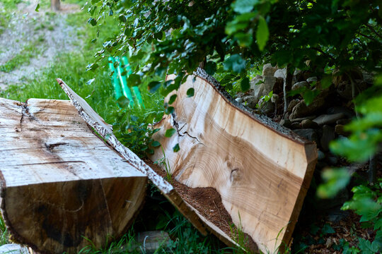 Holzs&auml;geschnitt: Ein frisch geschnittener Baumstamm und eine Holzplatte im Freien