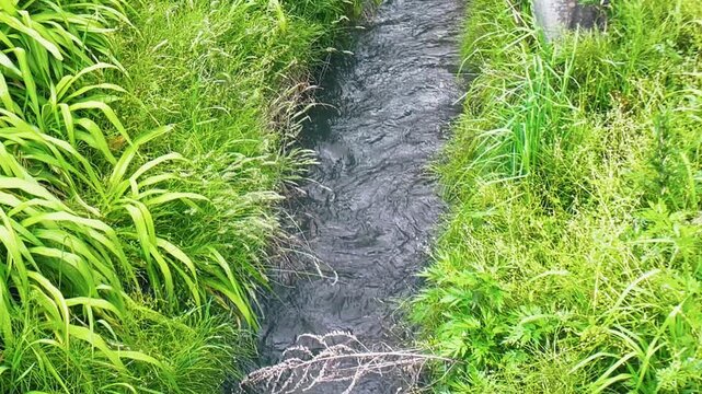 【自然】田舎の水路と緑と水の流れの風景 - Rural Water Channel with Greenery and Flowing Water Natural Landscape