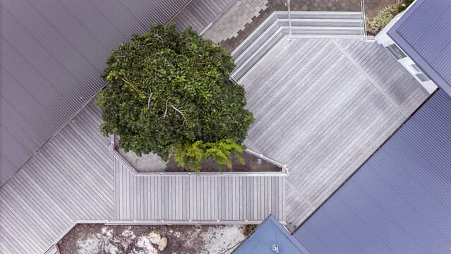 Aerial view of a modern recycled plastic deck with a large green tree, grey corrugated metal roofs, and geometric walkways in Marybank Nelson, Nelson Region, New Zealand.