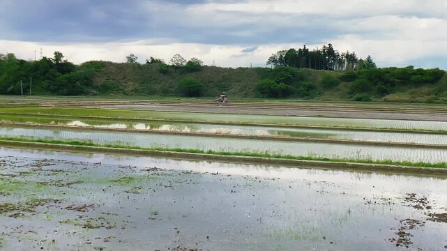 【自然】癒しを感じる静かな日本の田園風景 - Peaceful Japanese countryside landscape on a cloudy day
