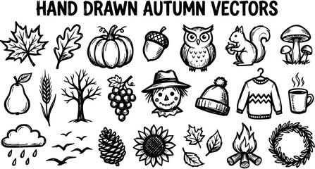 Hand-Drawn Black and White Line Art Autumn Fall Season Vector Icons Set. Sketchy Collection of Nature, Harvest, and Cozy Elements. © louise