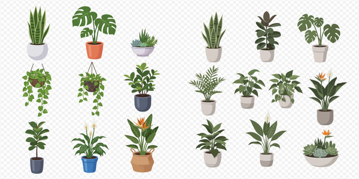 Collection of various potted houseplants, including snake plant, monstera, succulents, and hanging plants, perfect for home decor and indoor gardening concepts.