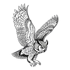 Great Horned Owl in Flight - Detailed Ink Sketch © Tuku