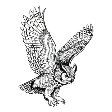 Great Horned Owl in Flight - Detailed Ink Sketch