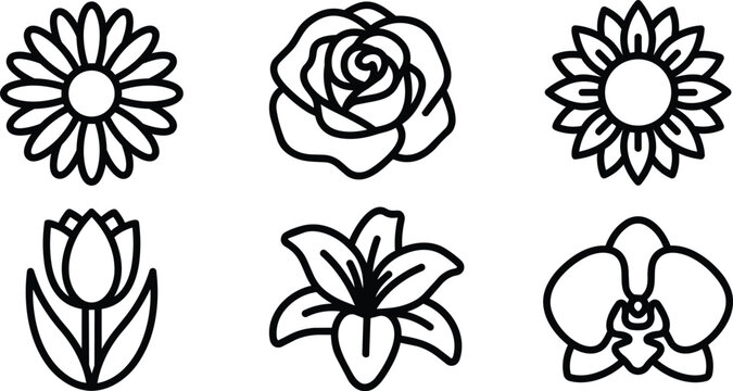 Vector line art set of flower icons including daisy rose tulip lily orchid in black and white