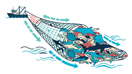 Naklejka premium Vector illustration of commercial fishing trawler boat pulling a large net filled with diverse marine life and bycatch. EPS Editable. Vector Illustrations.