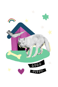 Vertical photo collage of hands pen domestic good pappy white dog house bone treat wolf animal wild life isolated on painted background