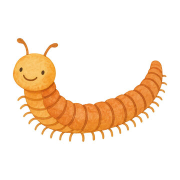 PNG Cute smiling cartoon centipede