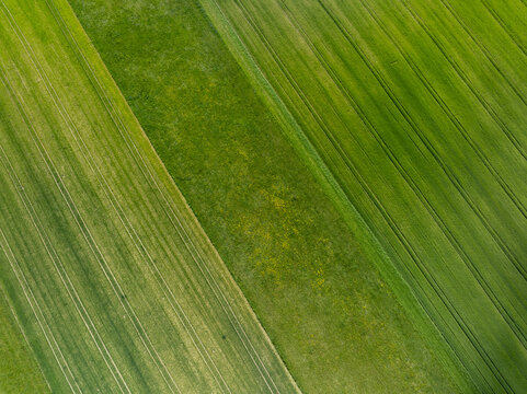 Aerial view of green agricultural fields with diagonal tractor tracks and patches of yellow wildflowers in Germany.