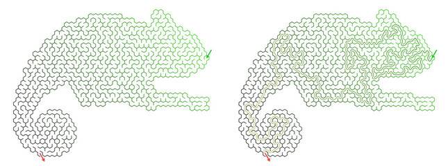 Hexagonal maze puzzle game in the shape of a chameleon. Unsolved and solved labyrinth grid with green path © ON - Studio