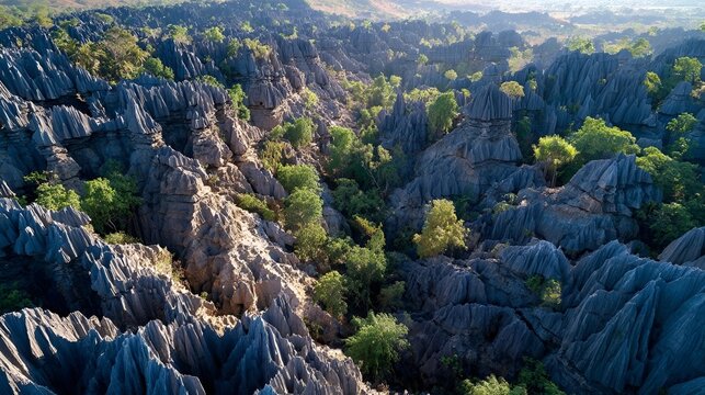 Detailed Geological Formations of Tsingy de Bemaraha