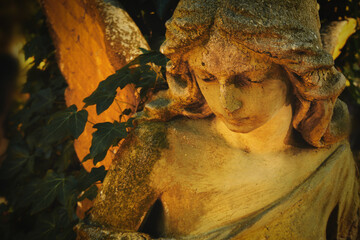 Obraz premium Mystical angel face illuminated by warm golden light.