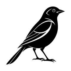 Obraz premium bird silhouette black vector icon style