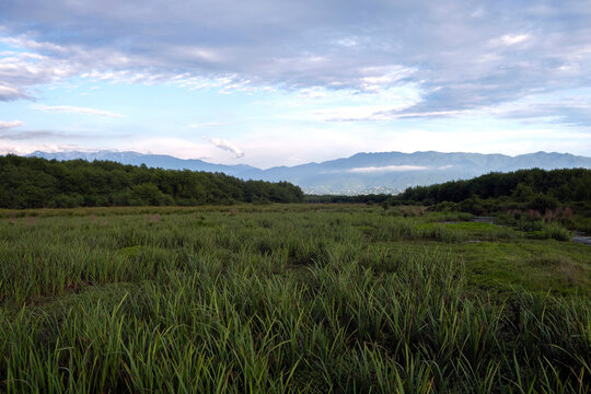 Panoramic view of a green marsh meadow with tall grass stretching toward distant mountains