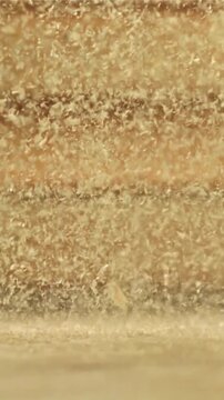Wood sawdust on the carpenter's desktop. Filmed on a high-speed camera at 1000 fps. High quality FullHD footage