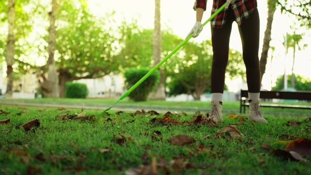 Female gardener raking fallen autumn leaves from green grass in public park, performing seasonal maintenance and outdoor cleaning during sunny fall day.