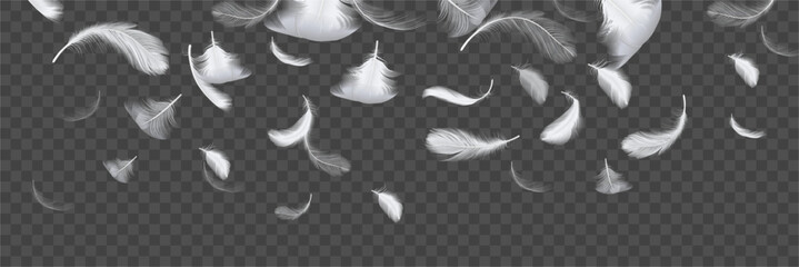 Elegant light feather falling, soft floating pinion background. Weightless plume flow backdrop design. Vector artistic quill layout, realistic atmospheric surface with delicate motion © Sensvector