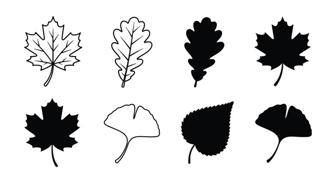 Vector illustrations of various leaf shapes and designs.