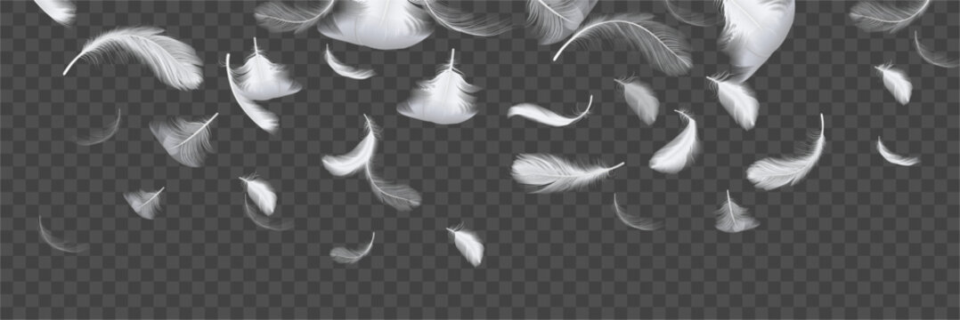 Elegant light feather falling, soft floating pinion background. Weightless plume flow backdrop design. Vector artistic quill layout, realistic atmospheric surface with delicate motion
