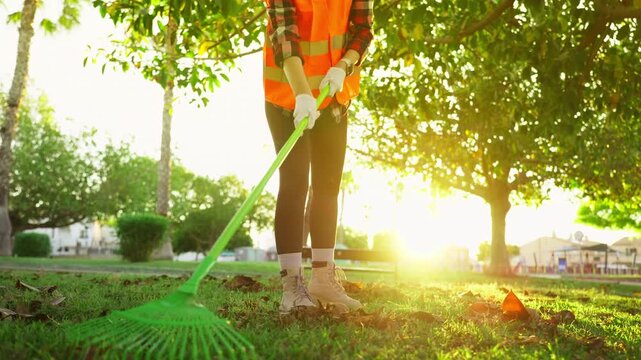 Professional park groundskeeper maintaining public green space by raking fallen autumn leaves from grass, showcasing landscaping services, seasonal outdoor maintenance, and city park care.