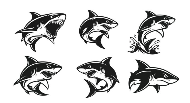 Six black and white eagle head illustrations in profile.
