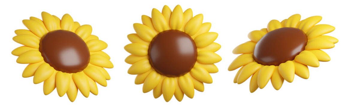 Set of 3d Sunflower icons in different angles, with bright yellow petals and brown center, isolated on background. Blooming Flower for spring, summer, autumn, harvest, stickers, posters. 3d render

