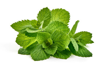 Fresh Mint Leaves Herb, isolated on white background © GSDesign