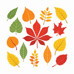 Fototapeta premium Collection of Autumn Leaves in Various Colors and Shapes