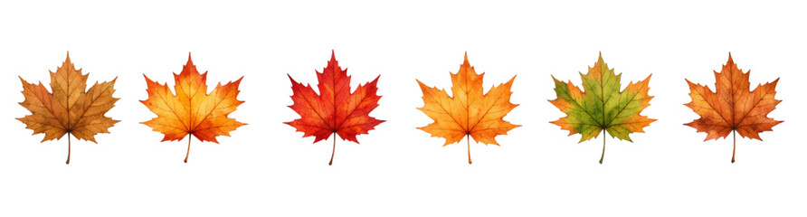 Fototapeta premium Set of six beautiful, hand-painted watercolor maple leaves in rich autumn colors. Perfect for seasonal designs, Thanksgiving invitations, fall-themed stationery, and warm, rustic creative projects.
