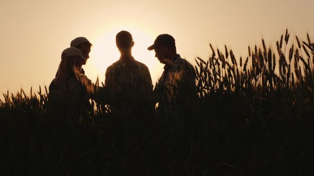Silhouettes of four farmers or ranchers standing in a wheat field at sunset and raising their hands in a gesture of success.