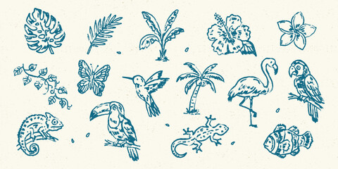 Obraz premium Tropical exotic plants and animals chalk doodle vector set in coastal hand drawn style for summer design series 