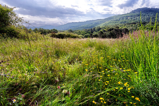 Cerro del Homvbre Bueno