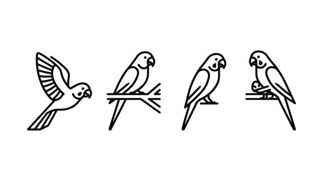 Set of four small parakeets in various poses, minimalist black line art vector