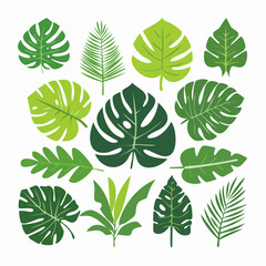 Fototapeta premium Collection of Tropical Leaves in Various Green Shades