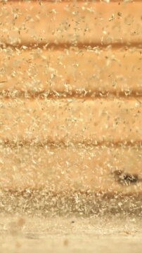 Wood sawdust on the carpenter's desktop. Filmed on a high-speed camera at 1000 fps. High quality FullHD footage