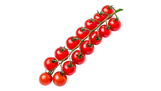 Long branch cluster of fresh ripe red cherry tomatoes isolated on transparent background