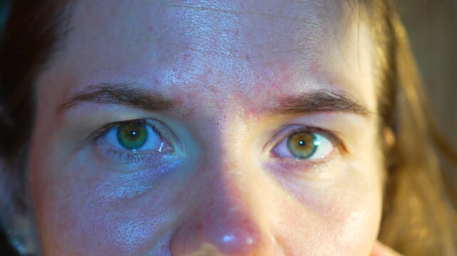 Eyes green woman close up of a female face with green eyes staring intensely into the camera in soft indoor lighting