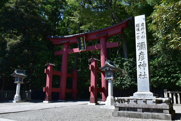 新潟県 弥彦村の彌彦神社（弥彦神社） © Via Nova