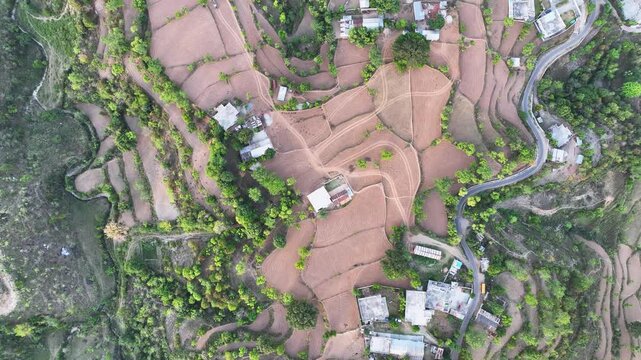 Top-down aerial view of geometric terrace farming and stepped agricultural fields in rural India.