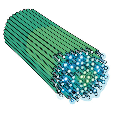 microtubule cytoskeleton flat vector scientific illustration
