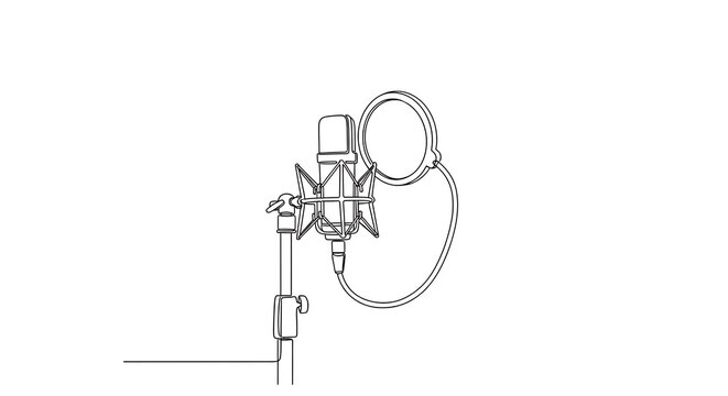 Professional microphone setup