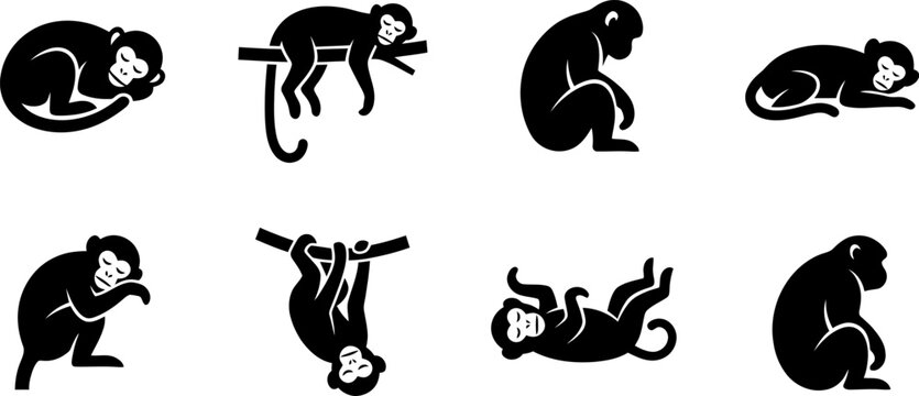 Monkeys in various playful poses and resting positions vector silhouettes for wildlife and nature design projects