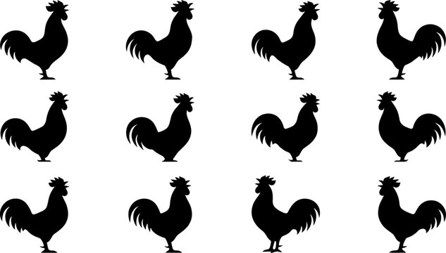 Rooster silhouette collection featuring various standing and crowing poses isolated on white background for farm logo