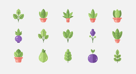 Fototapeta premium Stylized plant illustrations on white