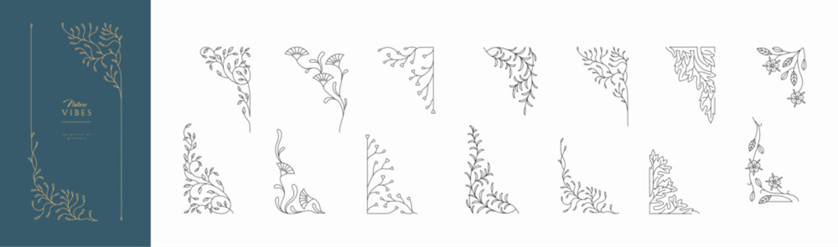 Frame constructor of boho floral corners. Delicate botanical branch with flowers and leaves, intricate hand drawn details. Botanical