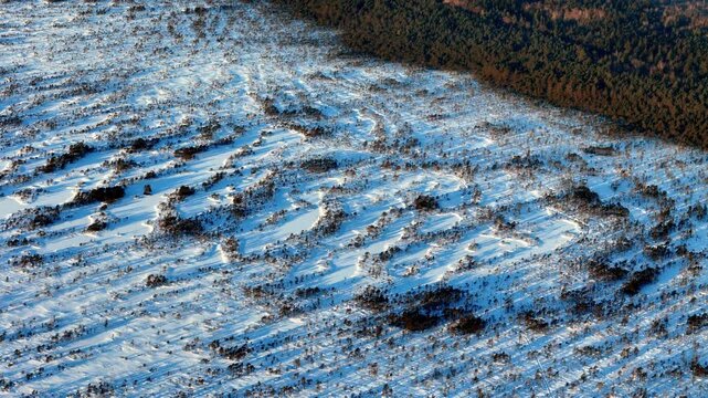 Stunning High Angle Aerial View of a Frozen Estonian Bog in Winter featuring Intricate Snow Covered Labyrinthine Patterns and Dark Pine Forest under Bright Crisp Sunlight with Blue White and Earthy