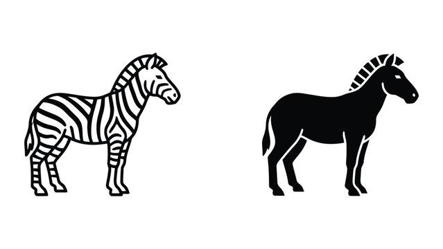 Zebra and donkey standing side by side